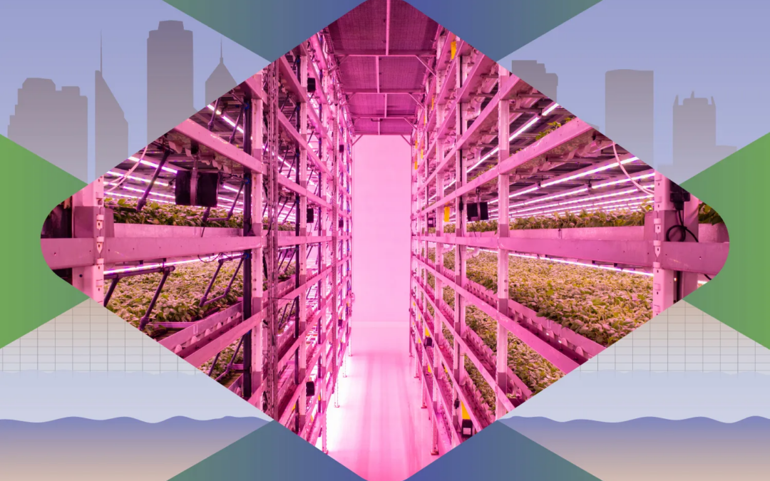 Inside Phoenix’s high-tech plan to grow its own veggies