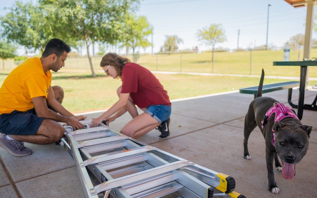 ASU research makes dog park cooler