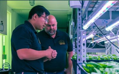 Phoenix clean tech startup Homer Farms taps into growing produce market